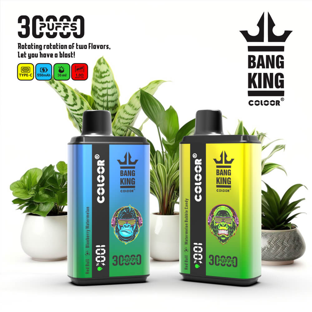 vape bang king 30000 puffs,bang king puff,puff 30k,bang disposable vape,vape with a bang