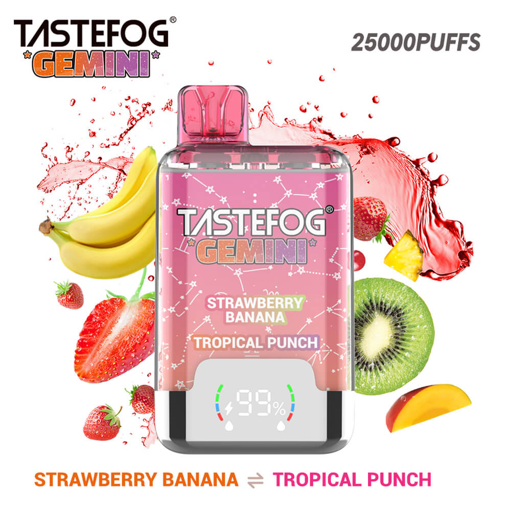 Tastefog Gemini 25000 Vape