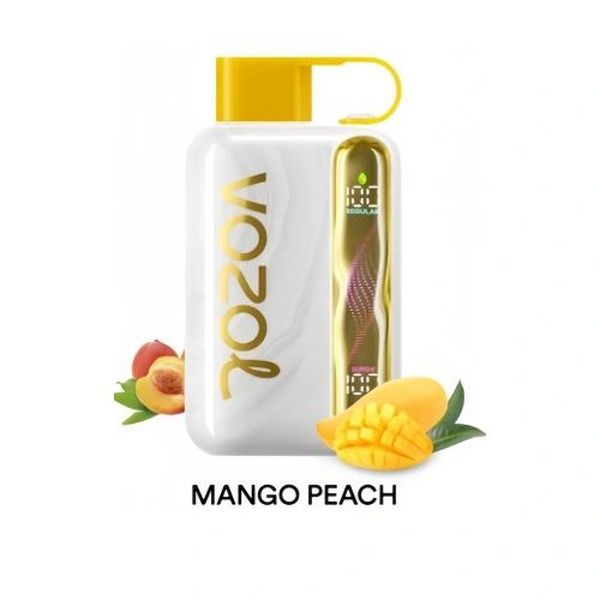 Vozol Star 40,000 Puff 40K Disposable Vape Wholesale - Image 11